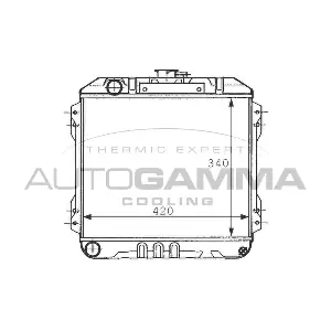 100998 AUTOGAMMA