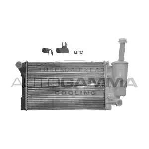 103411 AUTOGAMMA