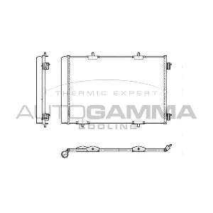 103972 AUTOGAMMA