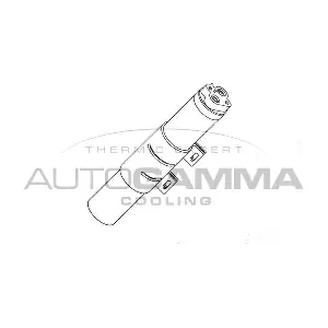 106129 AUTOGAMMA