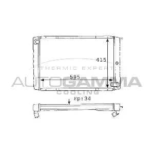 101108 AUTOGAMMA