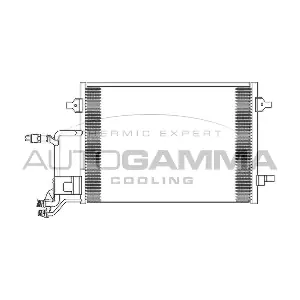 AUTOGAMMA 102420