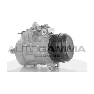 118525 AUTOGAMMA