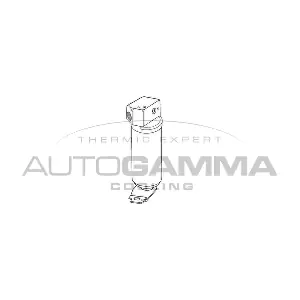 106131 AUTOGAMMA