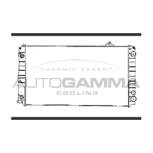 102027 AUTOGAMMA