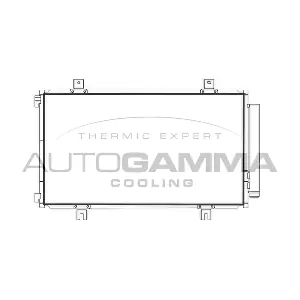 107791 AUTOGAMMA