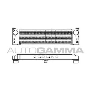 105466 AUTOGAMMA