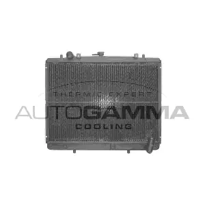 102211 AUTOGAMMA