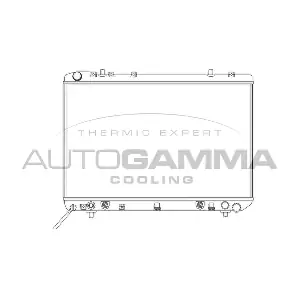 102903 AUTOGAMMA