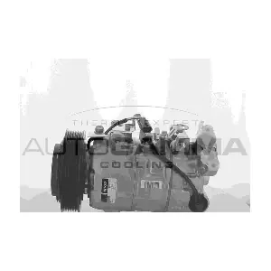 118603 AUTOGAMMA