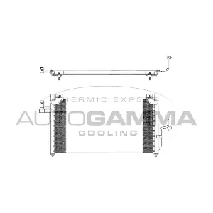 103271 AUTOGAMMA