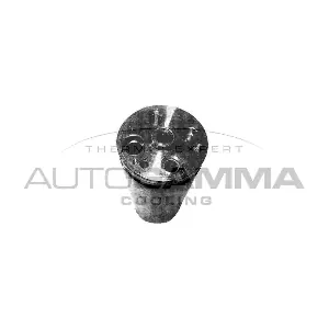106338 AUTOGAMMA