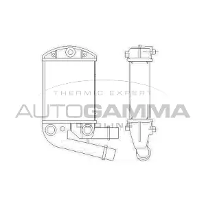 103414 AUTOGAMMA