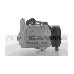 AUTOGAMMA 108907