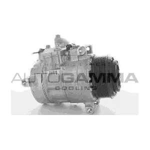 118522 AUTOGAMMA