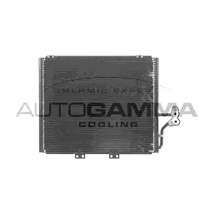 105594 AUTOGAMMA