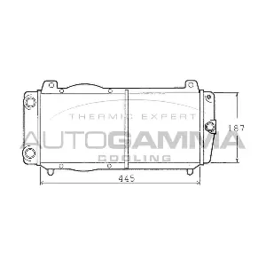 100439 AUTOGAMMA
