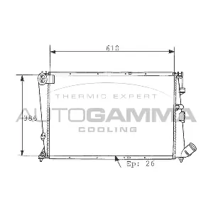100209 AUTOGAMMA