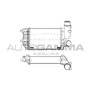 101888 AUTOGAMMA