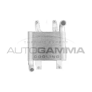 104963 AUTOGAMMA