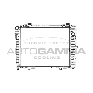 102166 AUTOGAMMA