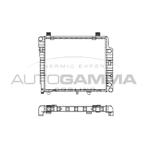 101318 AUTOGAMMA