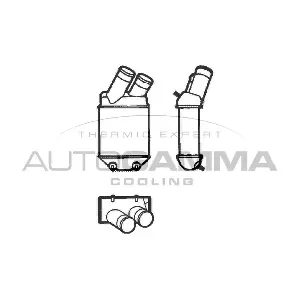 101493 AUTOGAMMA