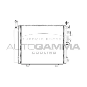 105853 AUTOGAMMA