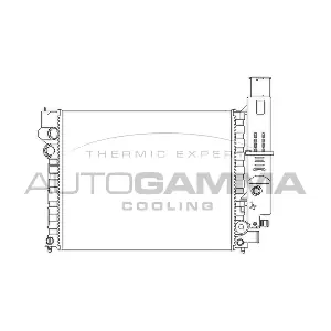 100764 AUTOGAMMA