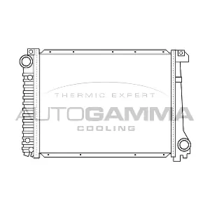 100130 AUTOGAMMA