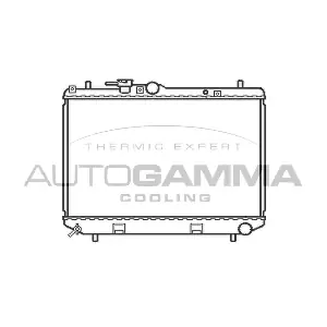 103913 AUTOGAMMA