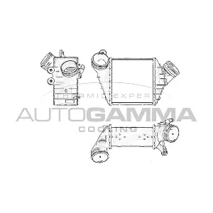 103727 AUTOGAMMA