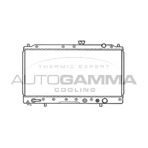 103959 AUTOGAMMA