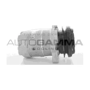 108960 AUTOGAMMA