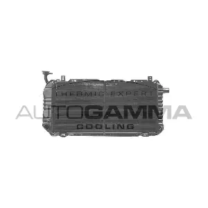 100635 AUTOGAMMA
