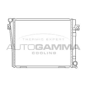 100121 AUTOGAMMA