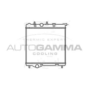 105248 AUTOGAMMA