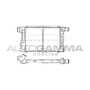 100263 AUTOGAMMA