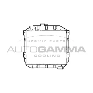 100325 AUTOGAMMA