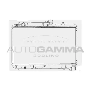 102324 AUTOGAMMA