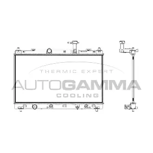107847 AUTOGAMMA