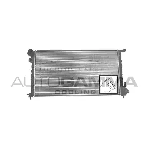 101306 AUTOGAMMA
