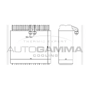 112005 AUTOGAMMA