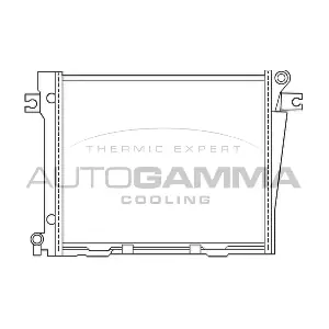 100104 AUTOGAMMA