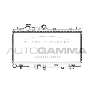105813 AUTOGAMMA