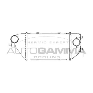 107805 AUTOGAMMA