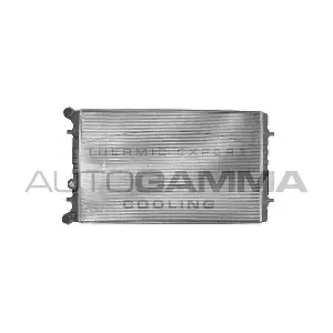 AUTOGAMMA 101155 Радіатор, система охолодження двигуна