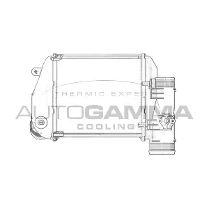 103769 AUTOGAMMA