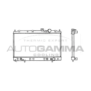 103496 AUTOGAMMA