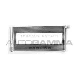 107188 AUTOGAMMA